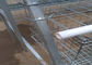 La couche automatique de poulet de système d'eau potable met en cage pour la ferme avicole